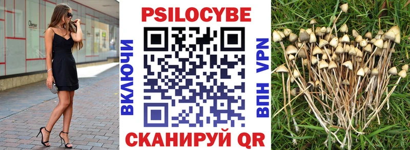 Псилоцибиновые грибы мухоморы  купить наркотики цена  Кинель 